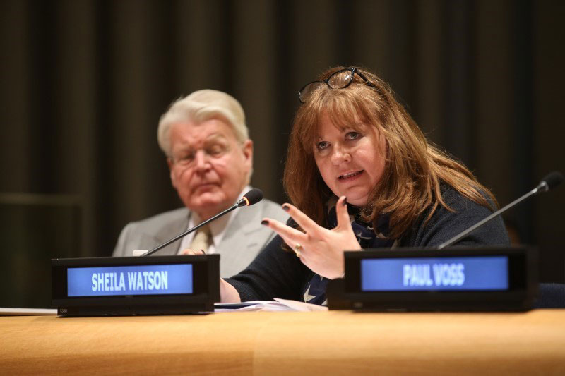 Sheila Watson appointed to Advisory Expert Group on SDG7 energy goal