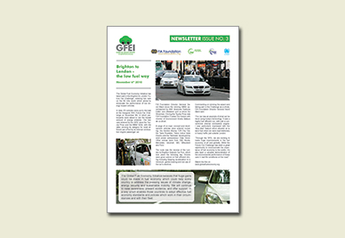 Newsletter 3 (12.2010)