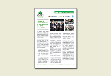 Newsletter 4 (06.2011)