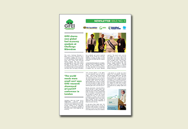 Newsletter 5 (04.2012)