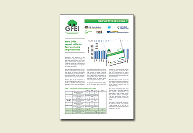 Newsletter 7 (06.2013)