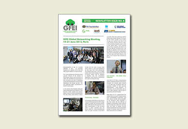 Newsletter 8 (07.2013)