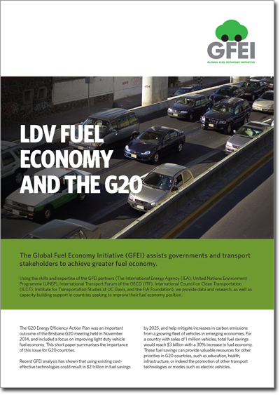 LDV Fuel Economy and G20