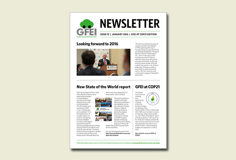 Newsletter 12 (01.2016)