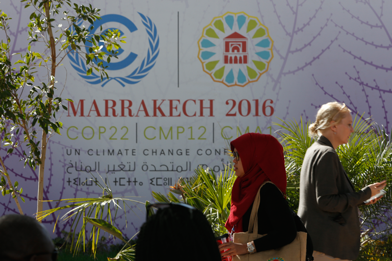 GFEI achievements recognised in COP22 roundup