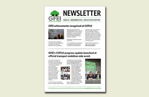 GFEI Newsletter 14