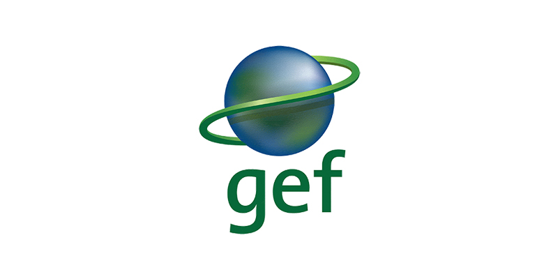 Global Environment Fund (GEF) Funding supports GFEI’s next steps