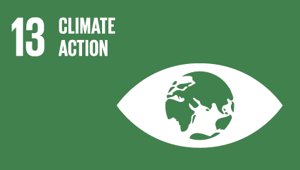 Global Goal 13 Logo