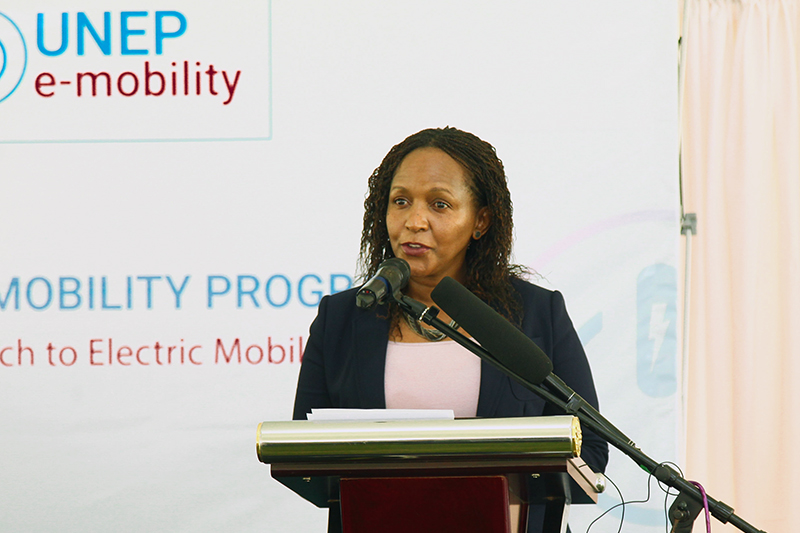 Ms. Joyce Msuya - Deputy Executive Director, UN Environment Programme (UNEP).