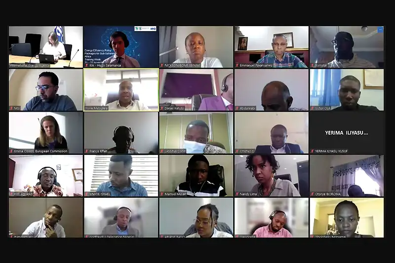 Online GFEI training for Sub-Saharan Africa
